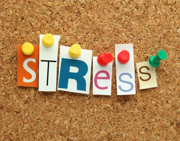 How to avoid house moving stress