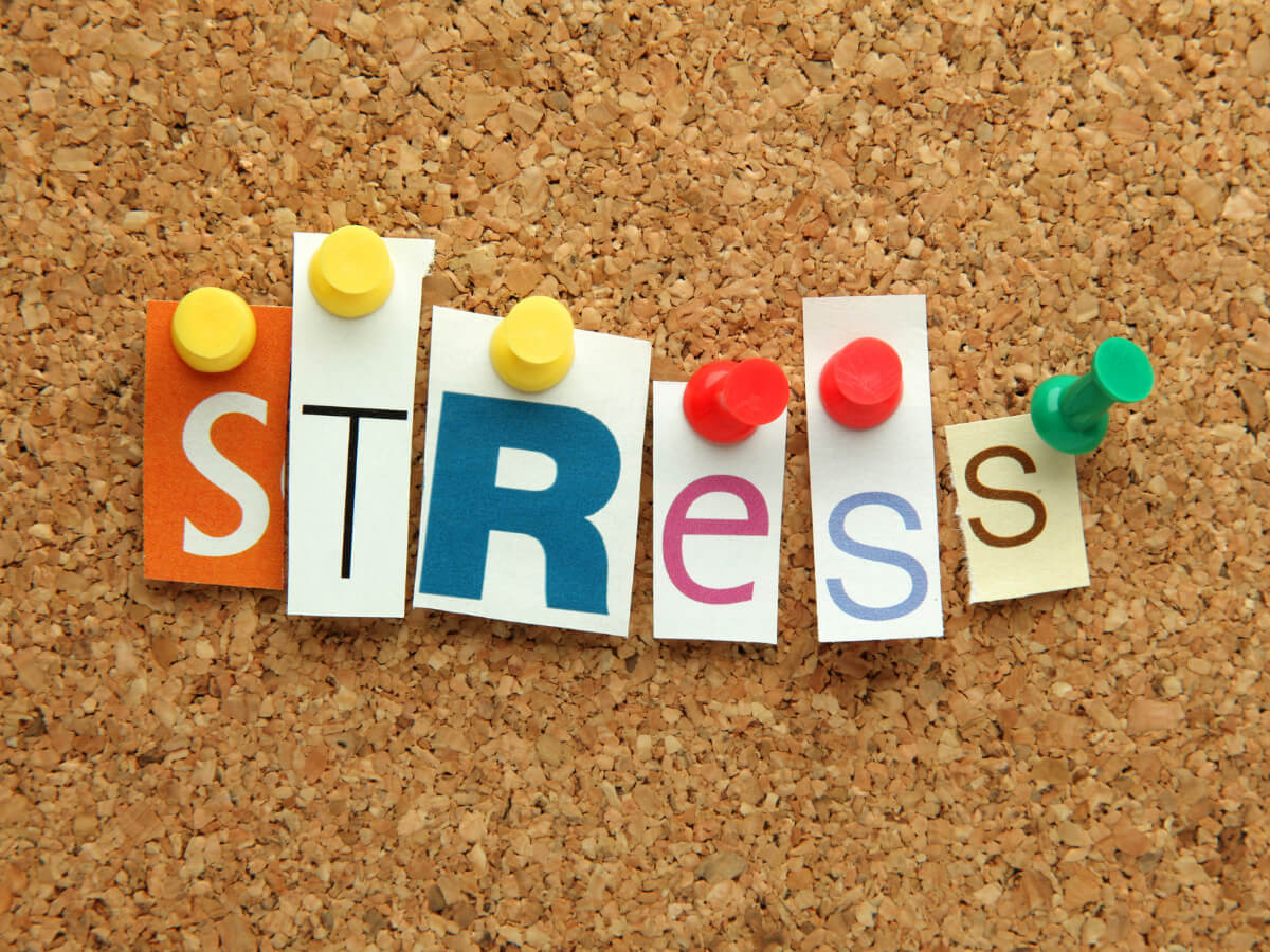 How to avoid house moving stress