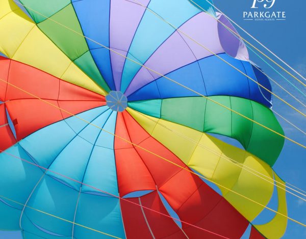 Sponsor the Parkgate Skydive in aid of Lupus