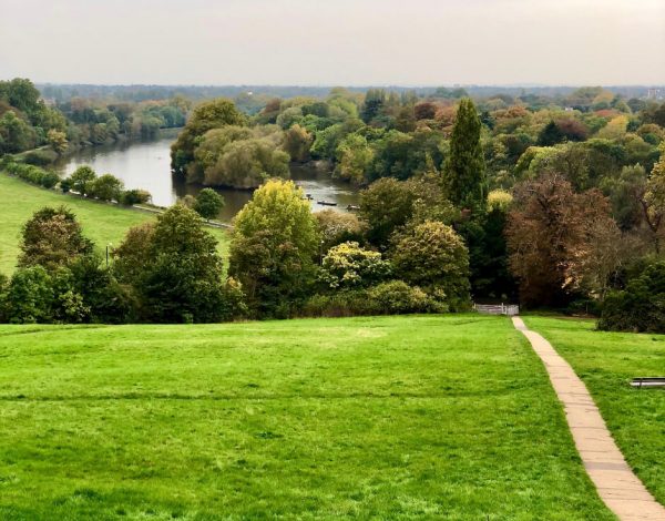 yourself with local green spaces